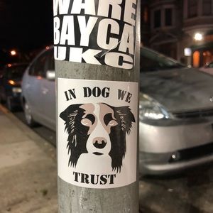 Meet your Posher, Carolina